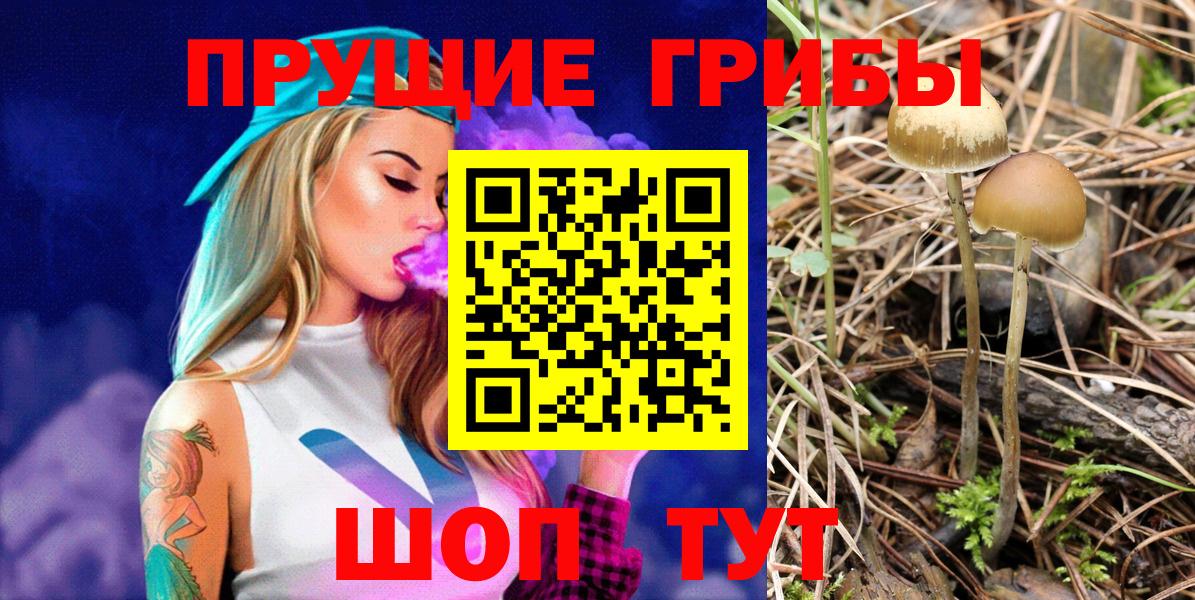 Сатка  Псилоцибиновые грибы Magic Shrooms  Вход с VPN 